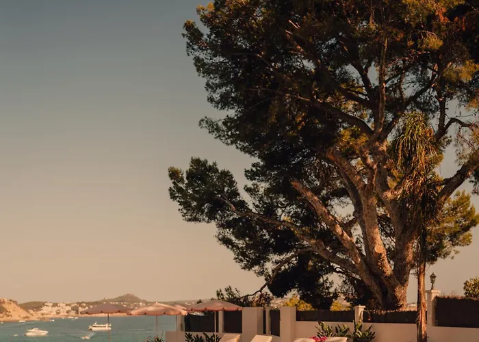 Aethos Mallorca Peguera